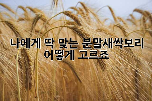 나에게 딱 맞는 분말새싹보리, 어떻게 고르죠?