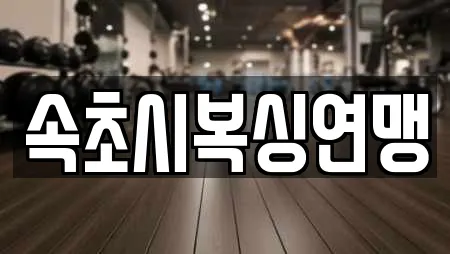 속초시복싱연맹