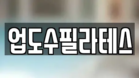업도수필라테스