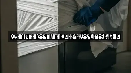오토바이퀵서비스용달이사다마스퀵배송라보용달화물용차심부름퀵
