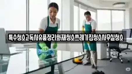 특수청소고독사유품정리화재청소쓰레기집청소사무실청소