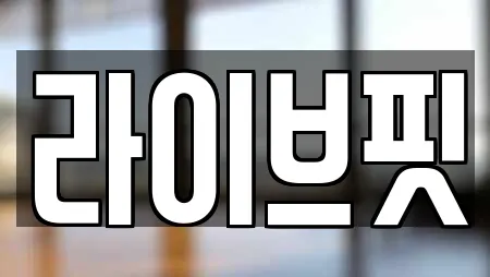 라이브핏