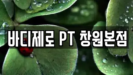 바디제로 PT 창원본점