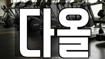 마사지 업체 가이드 16곳 (광양시 옥룡면)