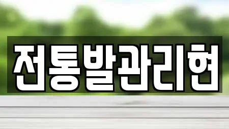 전통발관리현