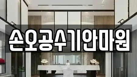 손오공수기안마원