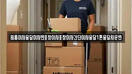 원룸이사용달이사반포장이사포장이사간단이사용달1톤용달차운반