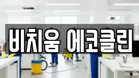 비치움 에코클린