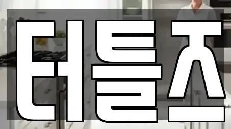 터틀즈