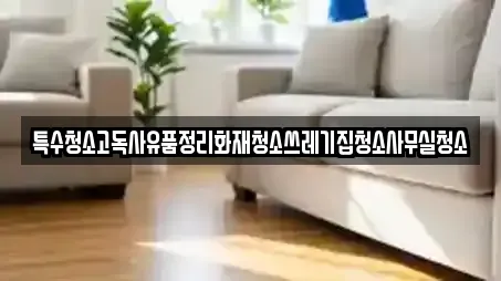 특수청소고독사유품정리화재청소쓰레기집청소사무실청소