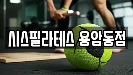시스필라테스 용암동점