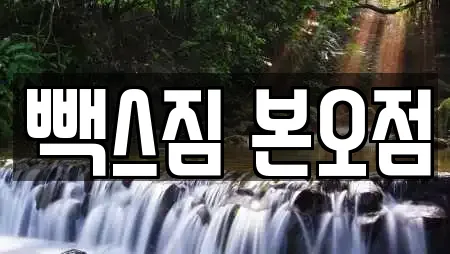 빽스짐 본오점