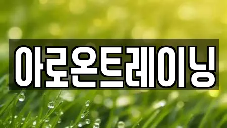 아로온트레이닝
