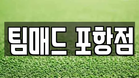 팀매드 포항점