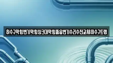 하수구막힘변기막힘싱크대막힘뚫음변기수리수전교체하수구트랩