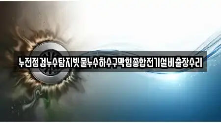 누전점검누수탐지빗물누수하수구막힘종합전기설비출장수리