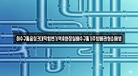 하수구뚫음싱크대막힘변기역류화장실배수구뚫기주방배관청소해빙