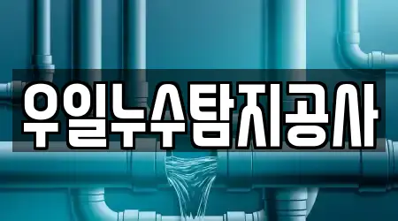 우일누수탐지공사