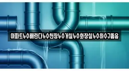 아파트누수배란다누수천장누수거실누수화장실누수하수구뚫음