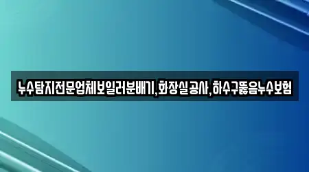 누수탐지전문업체보일러분배기,화장실공사,하수구뚫음누수보험