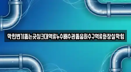 막힌변기뚫는곳싱크대역류누수배수관뚫음하수구역류화장실막힘