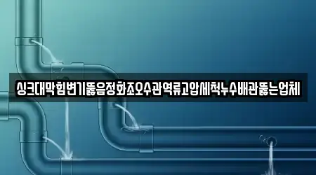 싱크대막힘변기뚫음정화조오수관역류고압세척누수배관뚫는업체