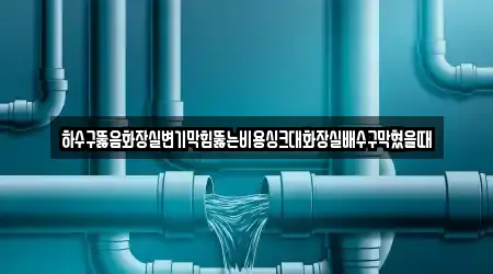 하수구뚫음화장실변기막힘뚫는비용싱크대화장실배수구막혔을때