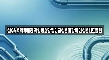 침수누수역류배관막힘청소당일긴급청소마감야간청소니드클린