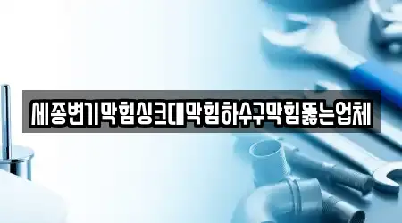 세종변기막힘싱크대막힘하수구막힘뚫는업체