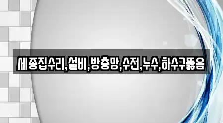 9곳의 변기뚫음 업체 세종특별자치시 나성동