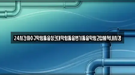 24시간하수구막힘뚫음싱크대막힘뚫음변기뚫음막힘고압세척내시경