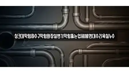 싱크대막힘하수구막힘화장실변기막힘뚫는업체세면대수리욕실누수