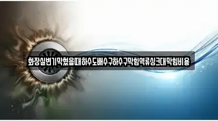 화장실변기막혔을때하수도배수구하수구막힘역류싱크대막힘비용