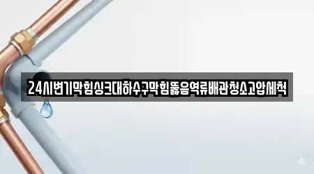 24시변기막힘싱크대하수구막힘뚫음역류배관청소고압세척