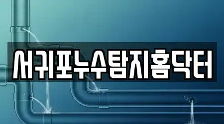 서귀포누수탐지홈닥터