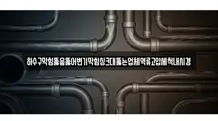 하수구막힘뚫음뚫어변기막힘싱크대뚫는업체역류고압세척내시경