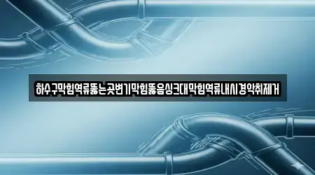 하수구막힘역류뚫는곳변기막힘뚫음싱크대막힘역류내시경악취제거