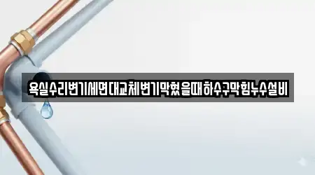 욕실수리변기세면대교체변기막혔을때하수구막힘누수설비