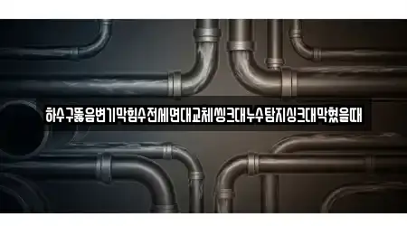 하수구뚫음변기막힘수전세면대교체씽크대누수탐지싱크대막혔을때