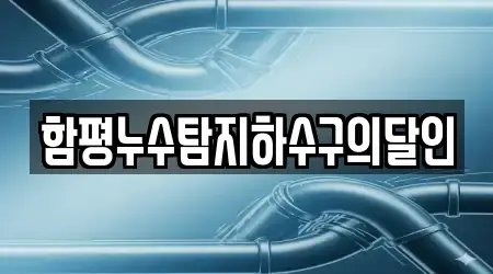 함평누수탐지하수구의달인