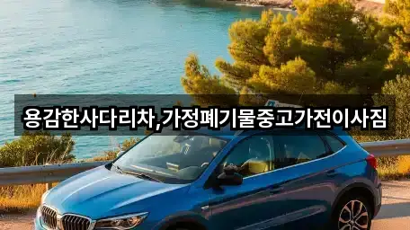 용감한사다리차,가정폐기물중고가전이사짐