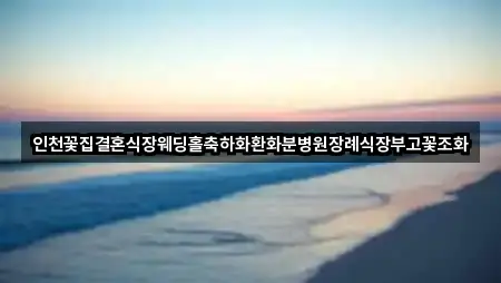 인천꽃집결혼식장웨딩홀축하화환화분병원장례식장부고꽃조화