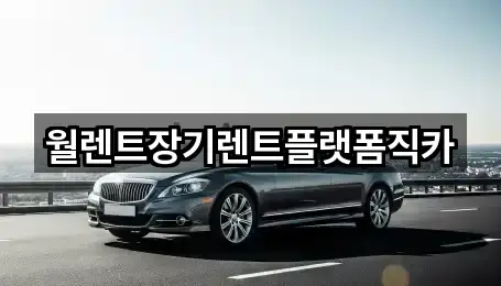 경기도 시흥시 방산동 장기렌트카 2곳 — 연락처