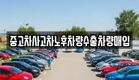 강원 춘천시 사농동 중고차 전문 중고차사고차노후차량수출차량매입