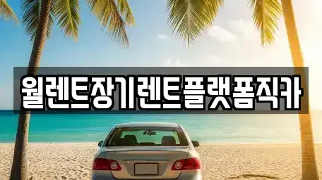 경기 고양시 덕양구 대자동 장기렌트카 전문 월렌트장기렌트플랫폼직카