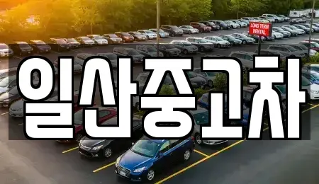 경기 고양시 덕양구 대자동 중고차매매 전문 일산중고차