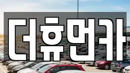 경기 성남시 분당구 서현동 단기렌트카 전문 더휴먼카