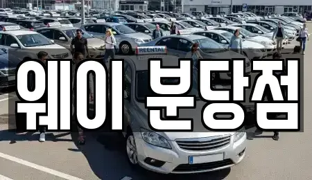 경기 성남시 분당구 서현동 단기렌트카 전문 웨이 분당점