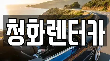 경기 성남시 분당구 서현동 단기렌트카 전문 청화렌터카
