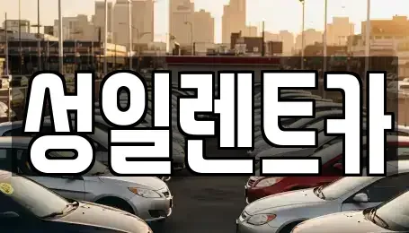 경기 성남시 분당구 서현동 렌트카 전문 성일렌트카